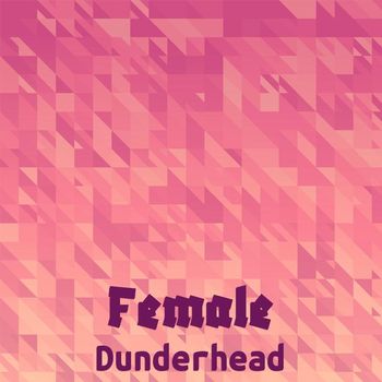 Various Artists - Female Dunderhead