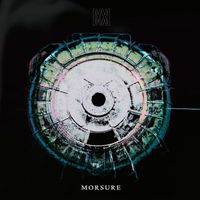Morsure - Admiral! There were no survivors