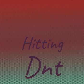 Various Artists - Hitting Dnt