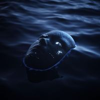 Animum - Fading In The Dark