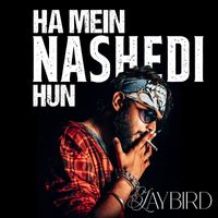Jaybird - Ha Mein Nashedi Hun - 1 Min Music