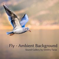 Sound Gallery by Dmitry Taras - Fly - Ambient Background