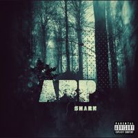 Shark - ARP (Explicit)