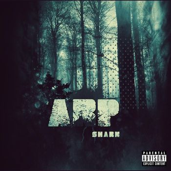 Shark - ARP (Explicit)