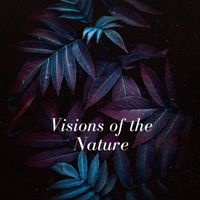 Touch of Spades - Visions of the Nature