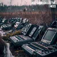 Deep Sour Collective - I Need