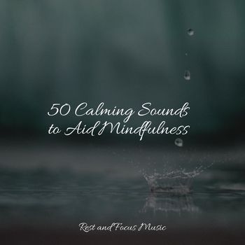Shakuhachi Sakano, Massagem Coleção de Músicas, Relaxamento - 50 Calming Sounds to Aid Mindfulness