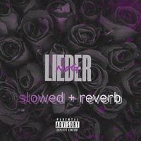 NOG - Lieder (Slowed + Reverb) (Explicit)
