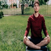 Zen Music Garden - Sounds For Meditation
