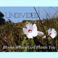 Undivided - Bloom Where God Plants You