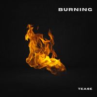 Tease - Burning (Explicit)