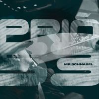 Mr. Schnabel - Prio 53