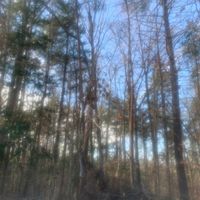 Damnatio - Paper chasing (Explicit)