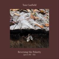 Tom Caufield - Reversing the Polarity (Pieces 167 - 175)