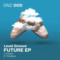 Level Groove - Future