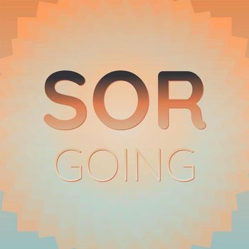 Various Artists - Sor Going