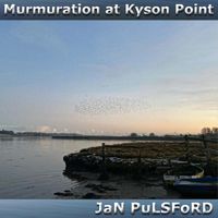 Jan Pulsford - Murmuration at Kyson Point
