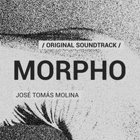 José Tomás Molina - MORPHO