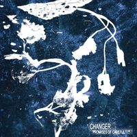 Changer - Promises of Careful volume 1