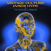 Vintage Culture and James Hype - You Give Me A Feeling