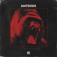 Matroda - If You Wanna
