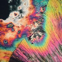 Nitepunk - Black and Colors