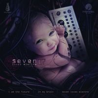 Rabbit In The Moon - Seven Loves Electro