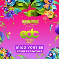 Iñigo Vontier - Congas & Shamans
