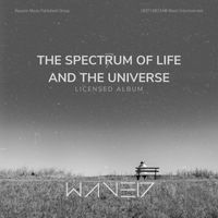 WAVE17 - The Spectrum Of Life And The Universe