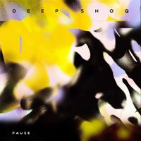 Deep Shoq - Pause