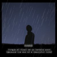 SounEmot - Porque El Final De Un Hermoso Amor (Because The End of A Beautiful Love)