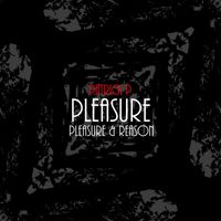 Patrick P. - Pleasure