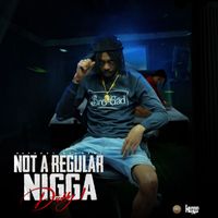 Daddy1 - Not A Regular Nigga (Explicit)