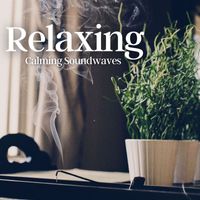 Jayden Wilson - Relaxing Calming Soundwaves