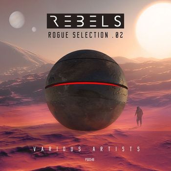 Various Artists - Rebels - Rogue Selection 02