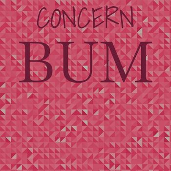 Various Artists - Concern Bum