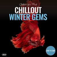 Chill N Chill - Chillout Winter Gems 2023: Chillout Your Mind