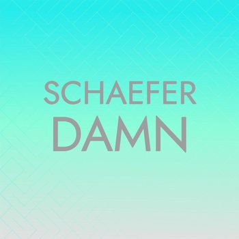 Various Artists - Schaefer Damn