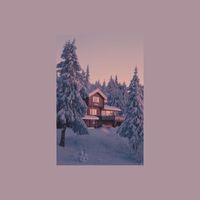 mangoes - yuletide sun