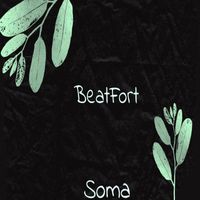BeatFort - Soma