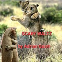 Adrian Gaish - Scary Waltz