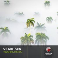 Sound Fusion - Touching the Fog