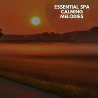 Chris Wilson - Essential Spa Calming Melodies