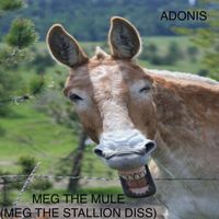 Adonis - Meg the Mule (Meg the Stallion Diss) (Explicit)