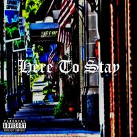 Dg - Here to Stay (Explicit)