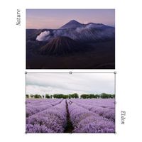 Eldon - Nature