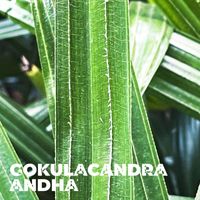 Gokulacandra - Andha