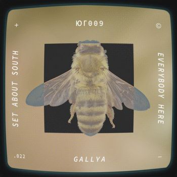 Gallya - Everybody Here