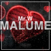 Mr. W - Malume