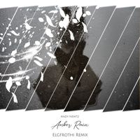 Andy Newtz - Amber Rain (Elgfrothi Remix)